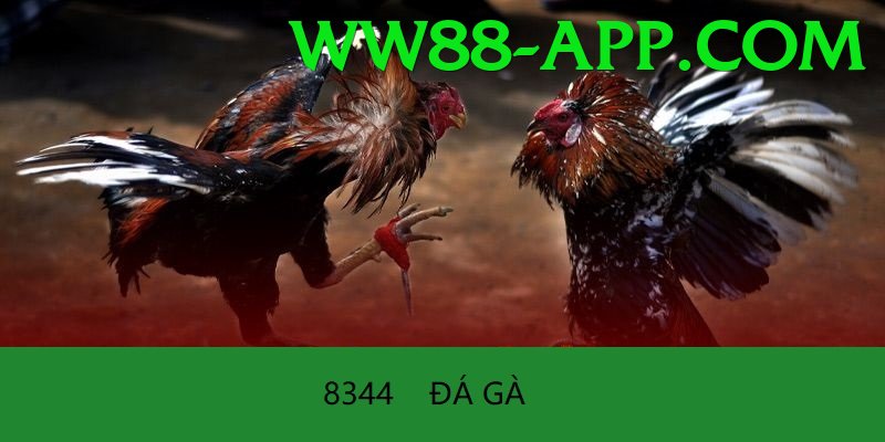 Trường Đấu Đá Gà Chuyên Nghiệp - Beta